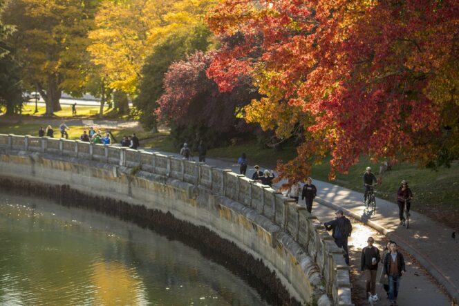 Stanley Park seawall with fall colours